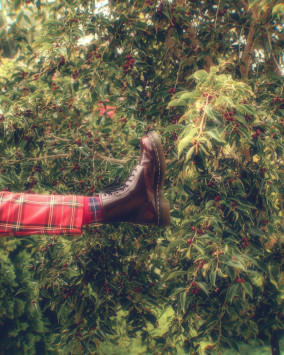 1460 Vegan Lace Up Boots in Cherry Red | Dr. Martens